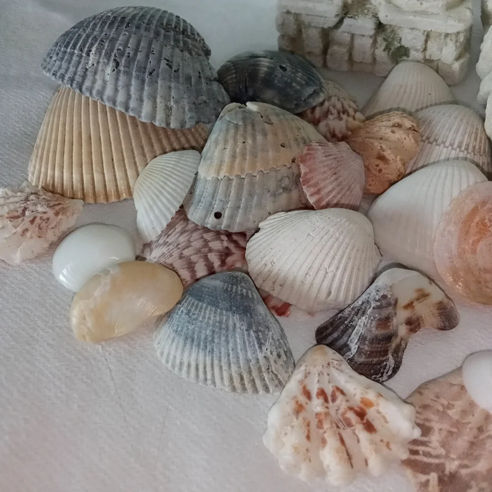Fish Tank Accessories Sea Shells & Small Colorful Rocks Roman Column Aquarium